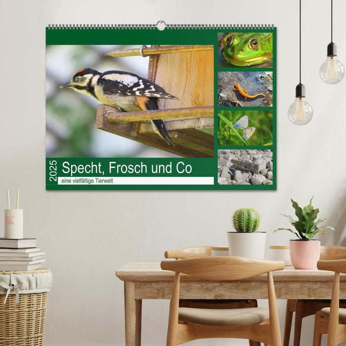 Specht, Frosch und Co - eine vielfältige Tierwelt (CALVENDO Wandkalender 2025)