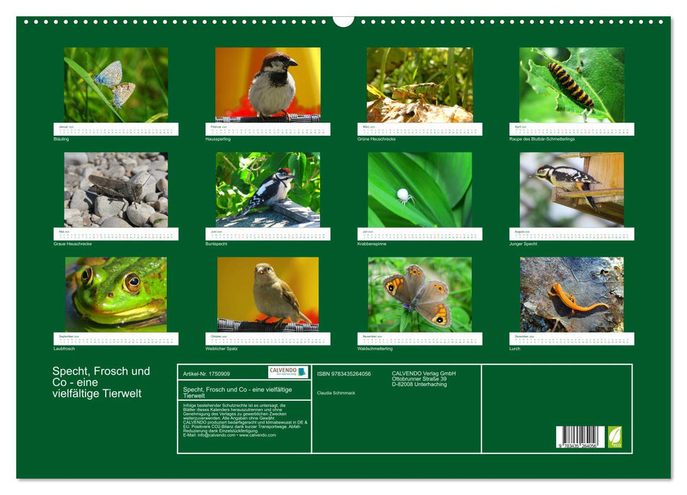 Specht, Frosch und Co - eine vielfältige Tierwelt (CALVENDO Wandkalender 2025)