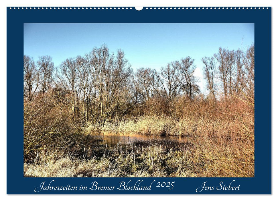 Jahreszeiten im Bremer Blockland (CALVENDO Wandkalender 2025)