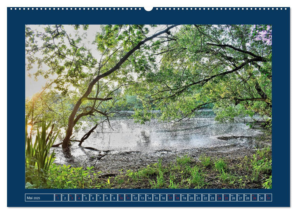 Jahreszeiten im Bremer Blockland (CALVENDO Wandkalender 2025)