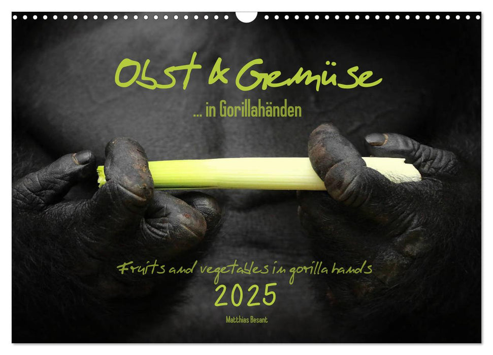 OBST & GEMÜSE in Gorillahänden (CALVENDO Wandkalender 2025)