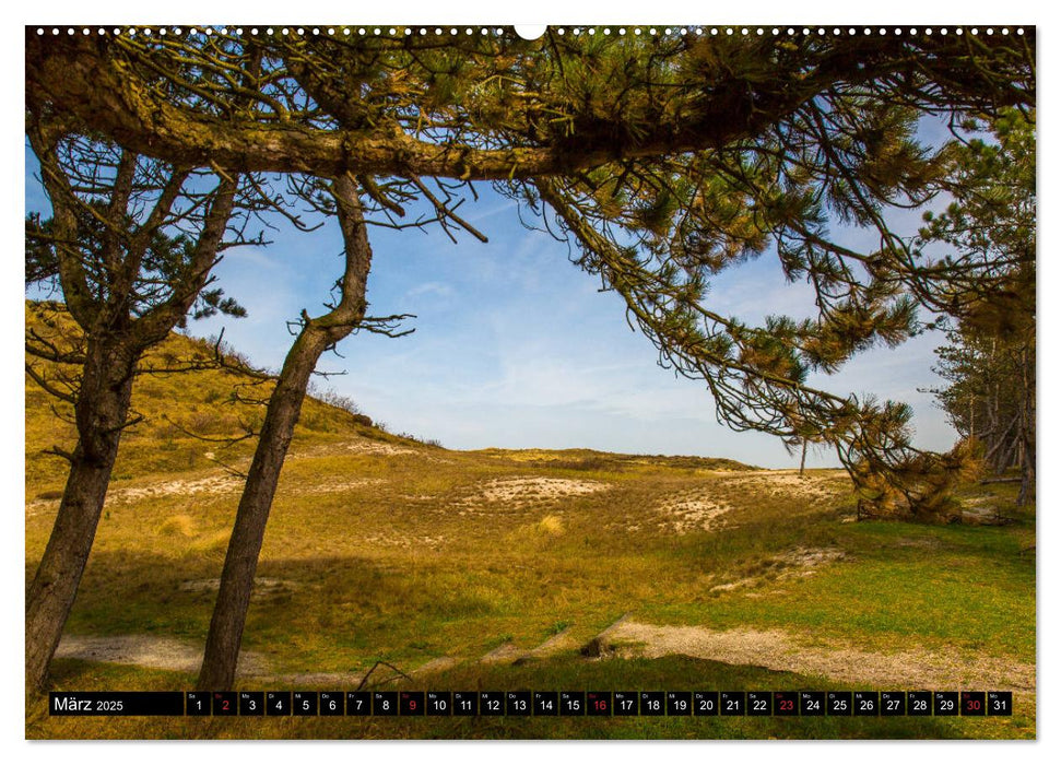 Dünenreservat - Nordhollands unberührte Natur (CALVENDO Wandkalender 2025)