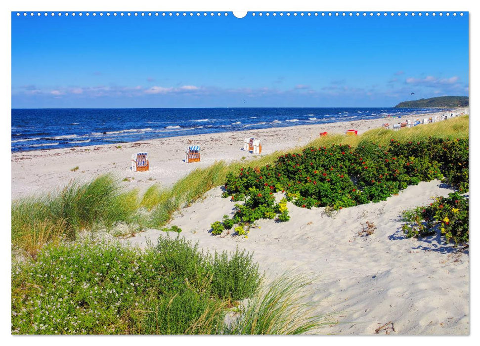 Insel Hiddensee - Dat söte Länneken (CALVENDO Wandkalender 2025)