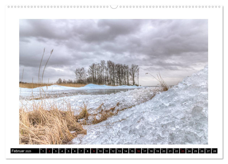 Die Müritz - Naturparadies der Mecklenburgischen Seenplatte (CALVENDO Premium Wandkalender 2025)