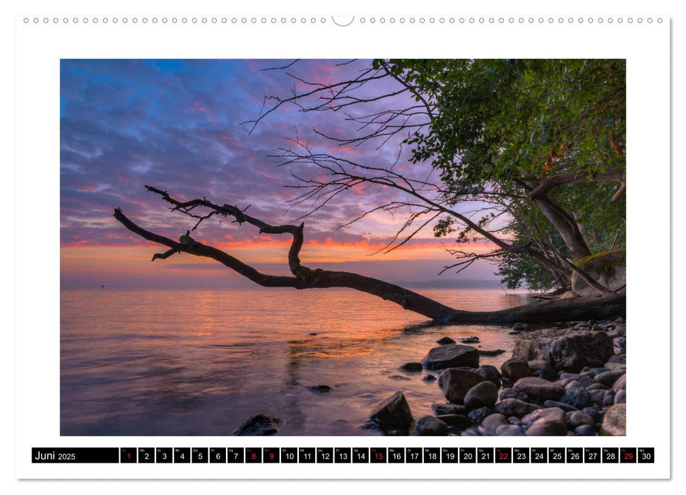 Die Müritz - Naturparadies der Mecklenburgischen Seenplatte (CALVENDO Premium Wandkalender 2025)