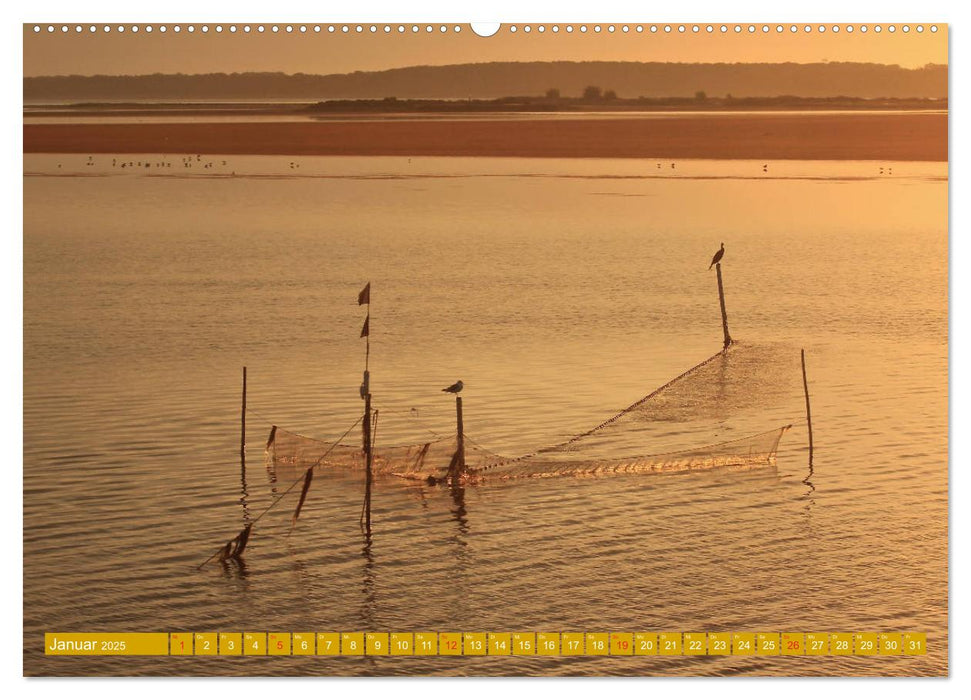 Insel Hiddensee - Stimmungen und Sehnsüchte (CALVENDO Wandkalender 2025)