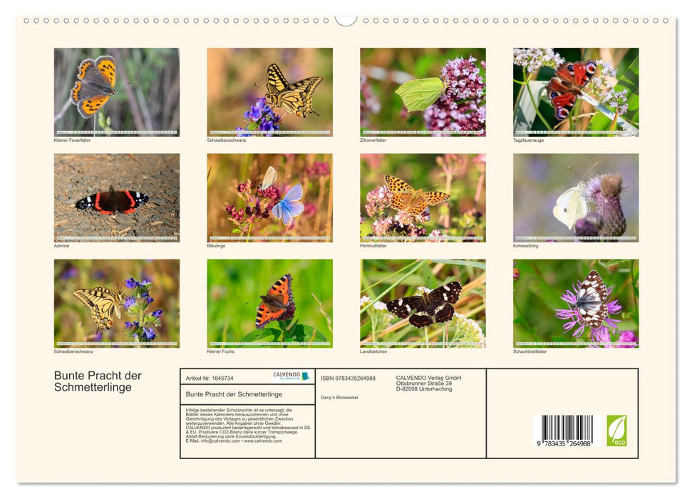 Bunte Pracht der Schmetterlinge (CALVENDO Wandkalender 2025)