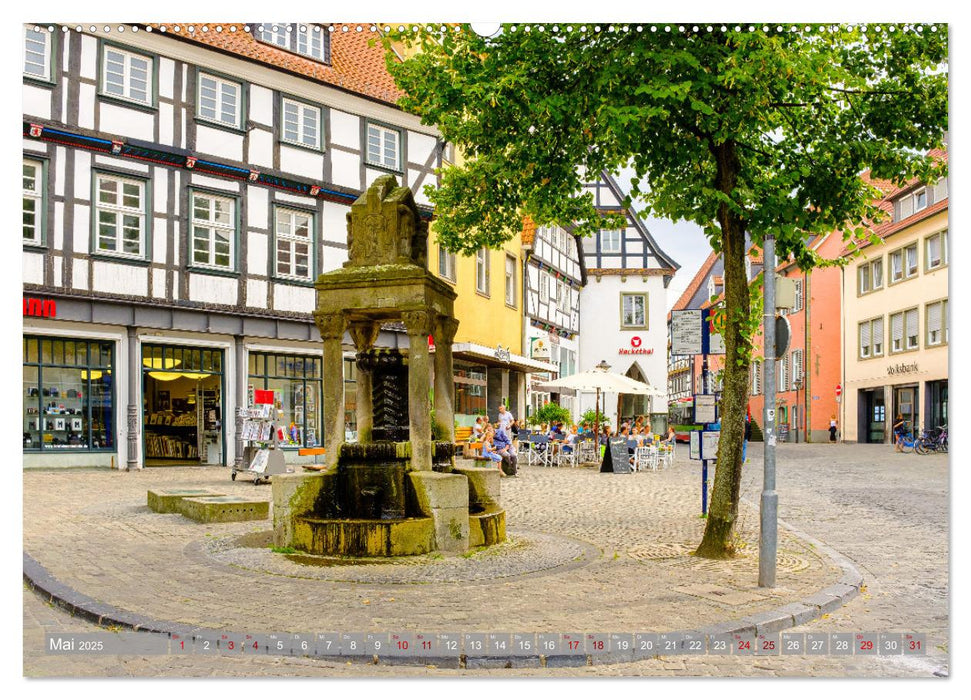 Ein Blick auf die Hansestadt Soest (CALVENDO Wandkalender 2025)