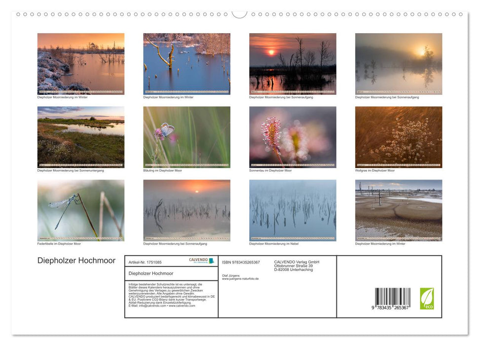 Diepholzer Hochmoor (CALVENDO Premium Wandkalender 2025)