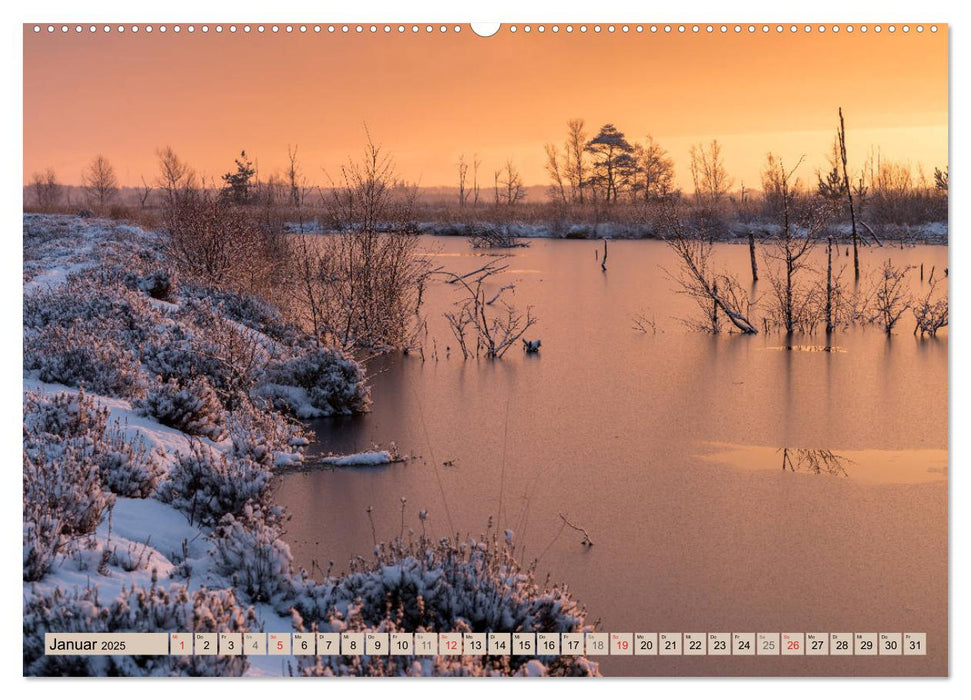 Diepholzer Hochmoor (CALVENDO Premium Wandkalender 2025)