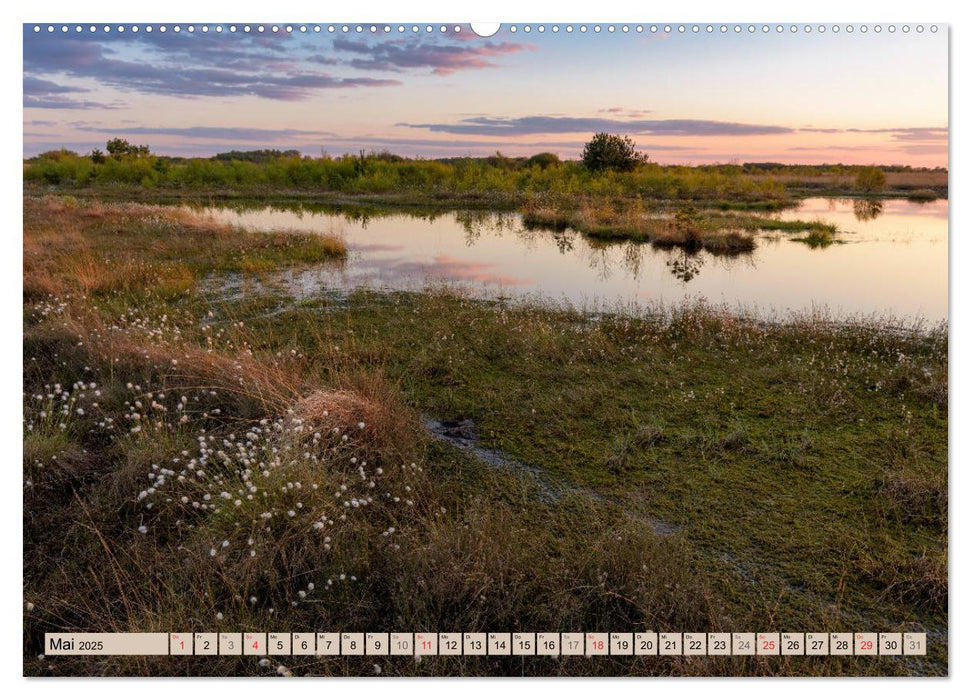 Diepholzer Hochmoor (CALVENDO Premium Wandkalender 2025)