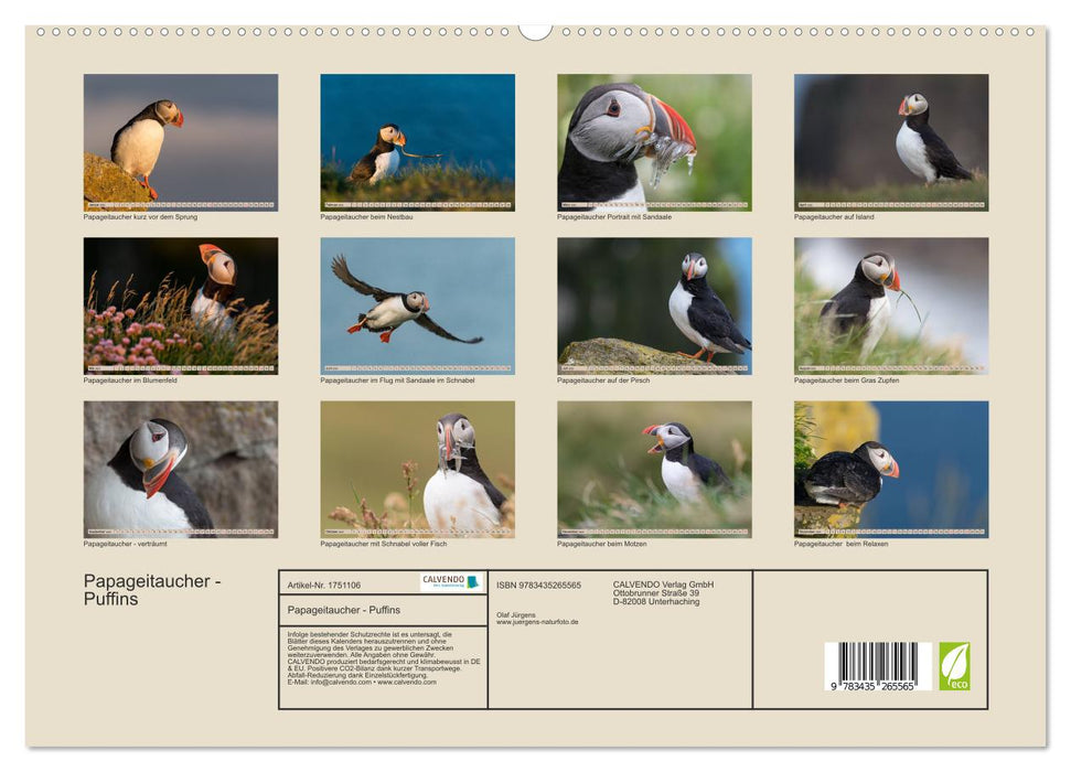 Papageitaucher - Puffins (CALVENDO Premium Wandkalender 2025)