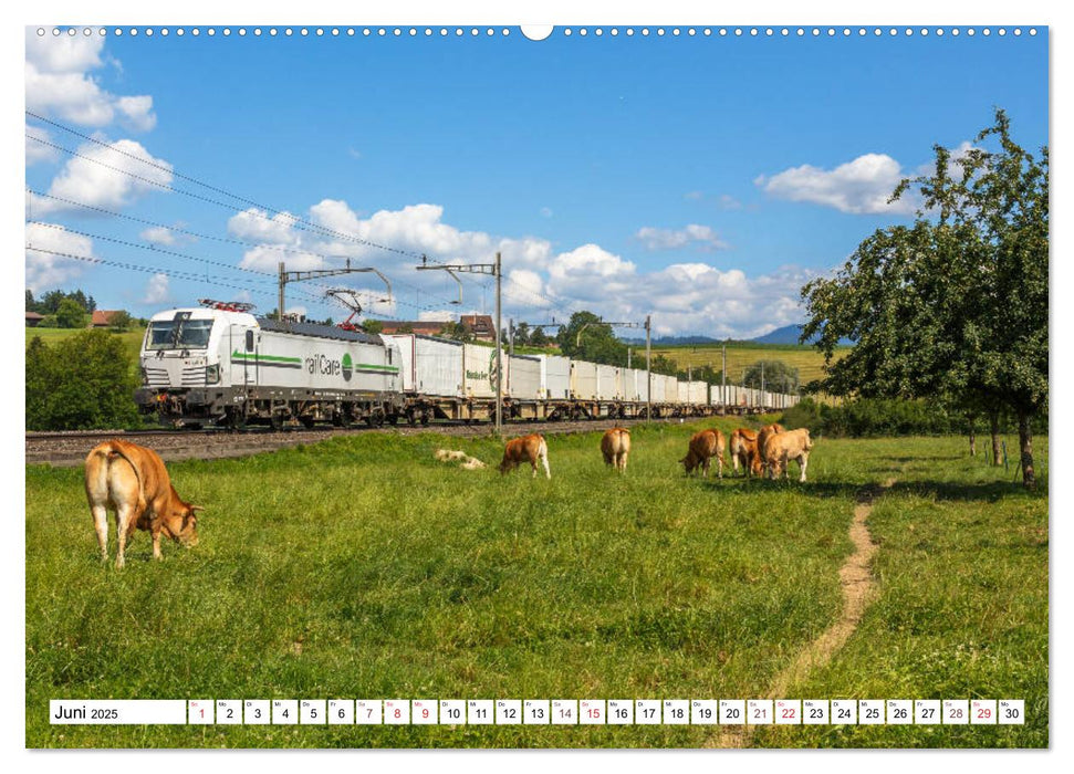 Für Güter die Bahn (CALVENDO Wandkalender 2025)