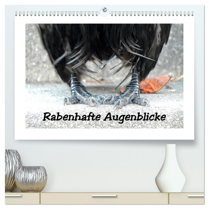 Rabenhafte Augenblicke (CALVENDO Premium Wandkalender 2025)