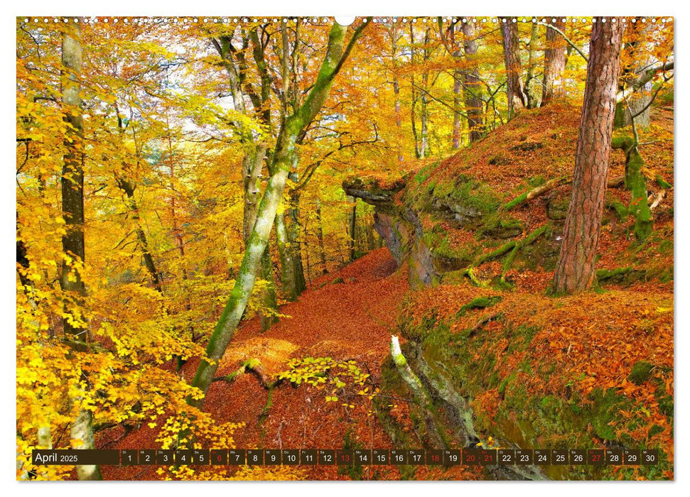 Der Altschlossfelsen - Größte Felsformation der Pfalz im herbstlichen Farbspiel (CALVENDO Wandkalender 2025)