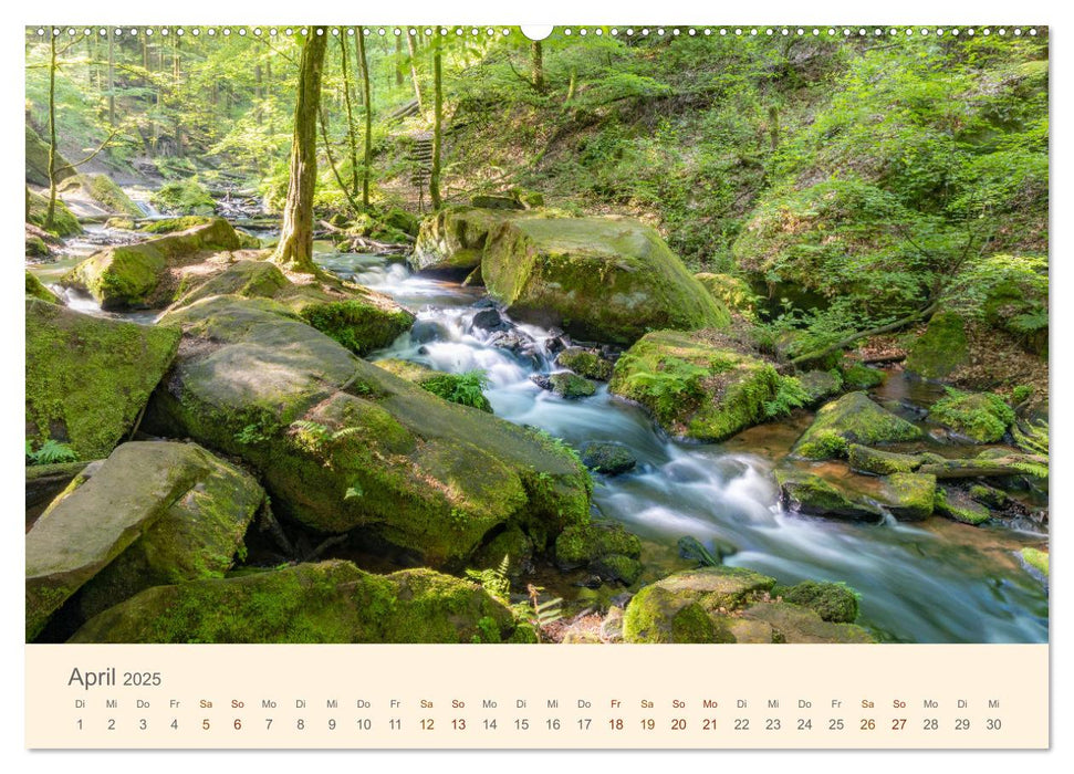 Lautrer Landschaften 2025 (CALVENDO Premium Wandkalender 2025)