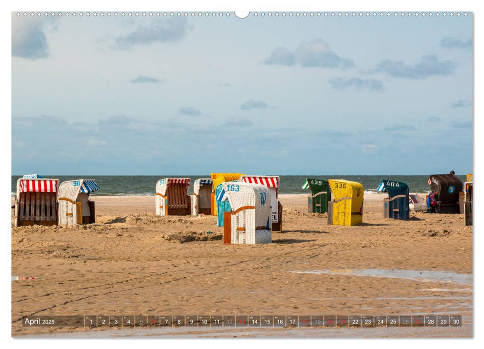 Amrum Insel am Wattenmeer (CALVENDO Premium Wandkalender 2025)