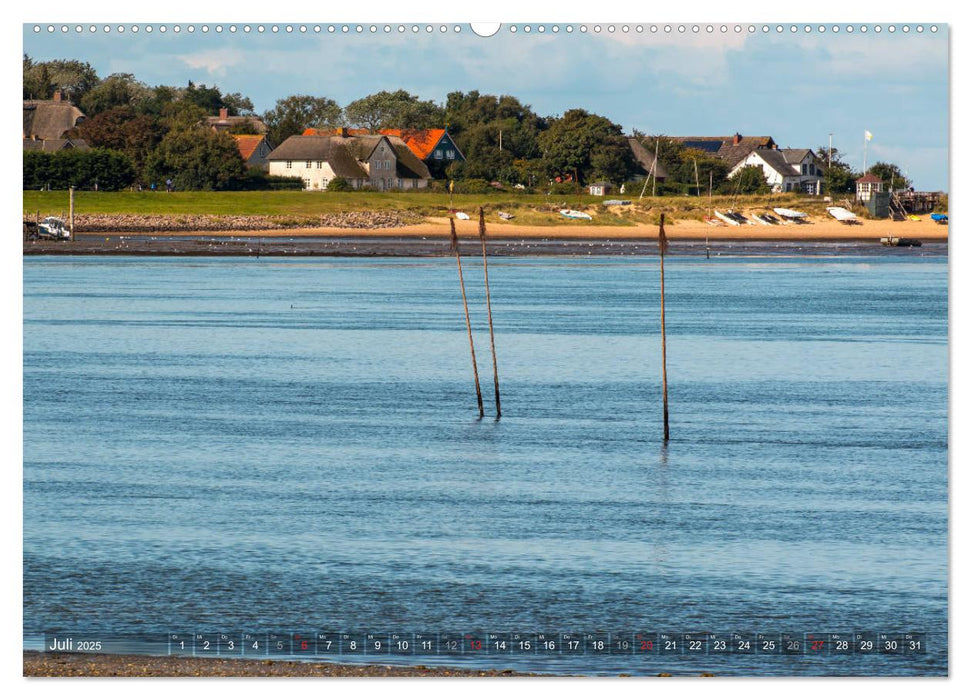 Amrum Insel am Wattenmeer (CALVENDO Premium Wandkalender 2025)