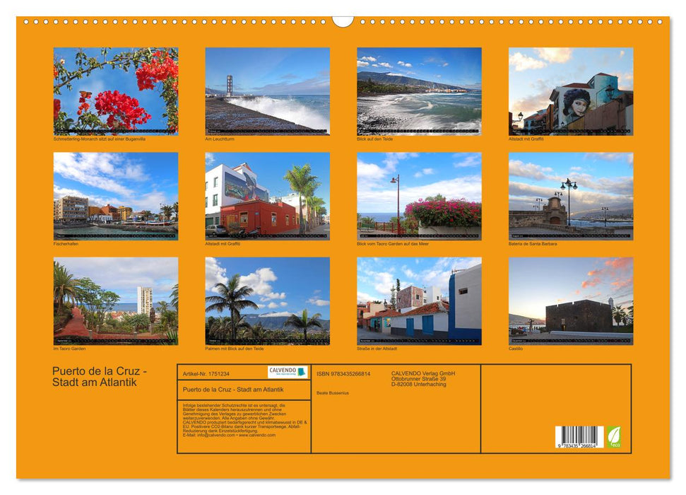 Puerto de la Cruz - Stadt am Atlantik (CALVENDO Wandkalender 2025)