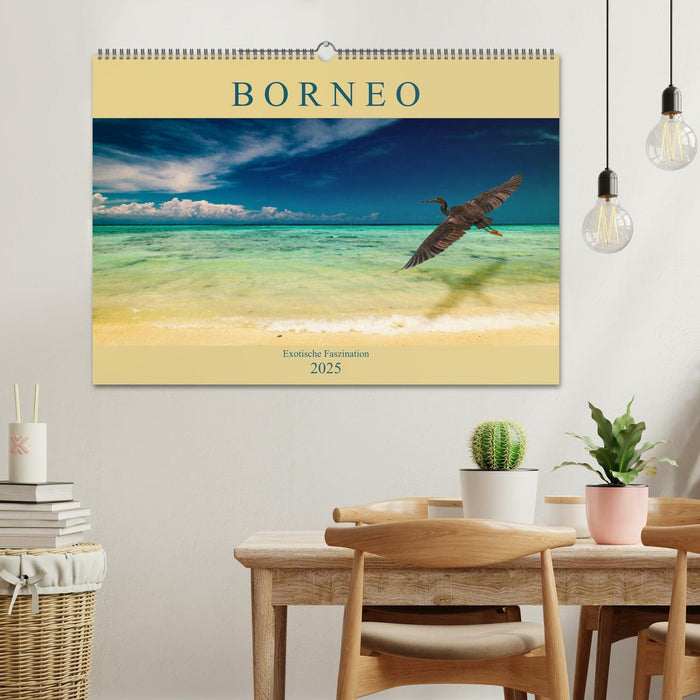 Borneo - Exotische Faszination (CALVENDO Wandkalender 2025)