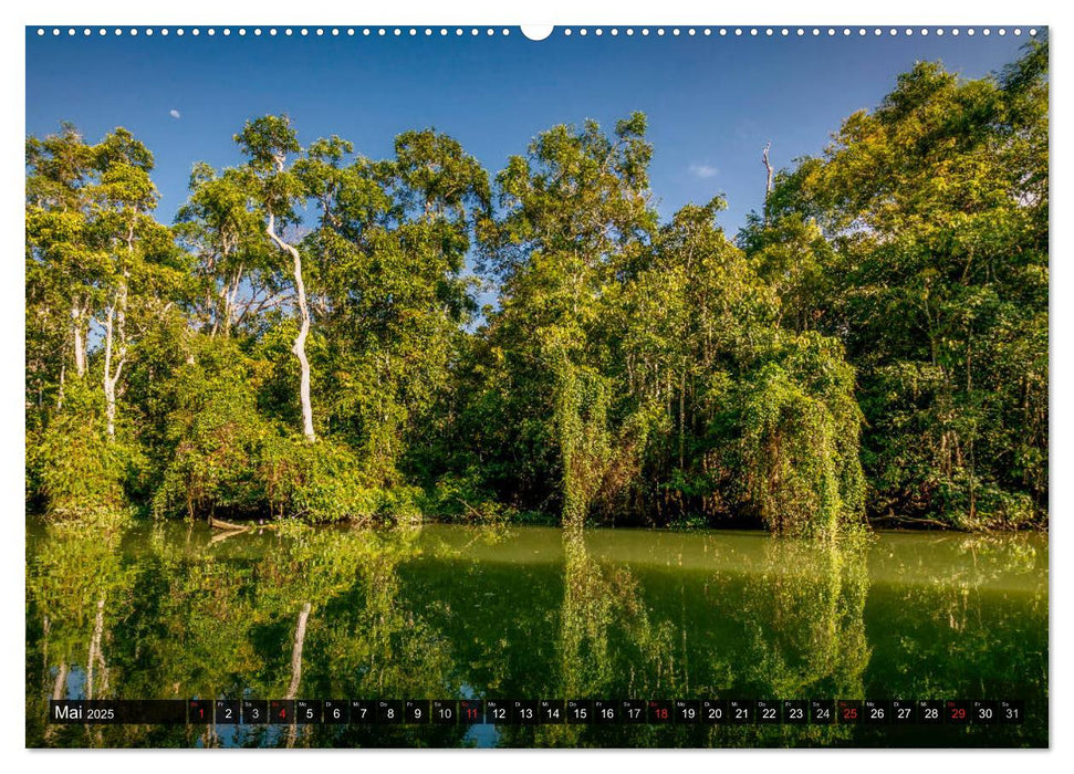 Borneo - Exotische Faszination (CALVENDO Wandkalender 2025)