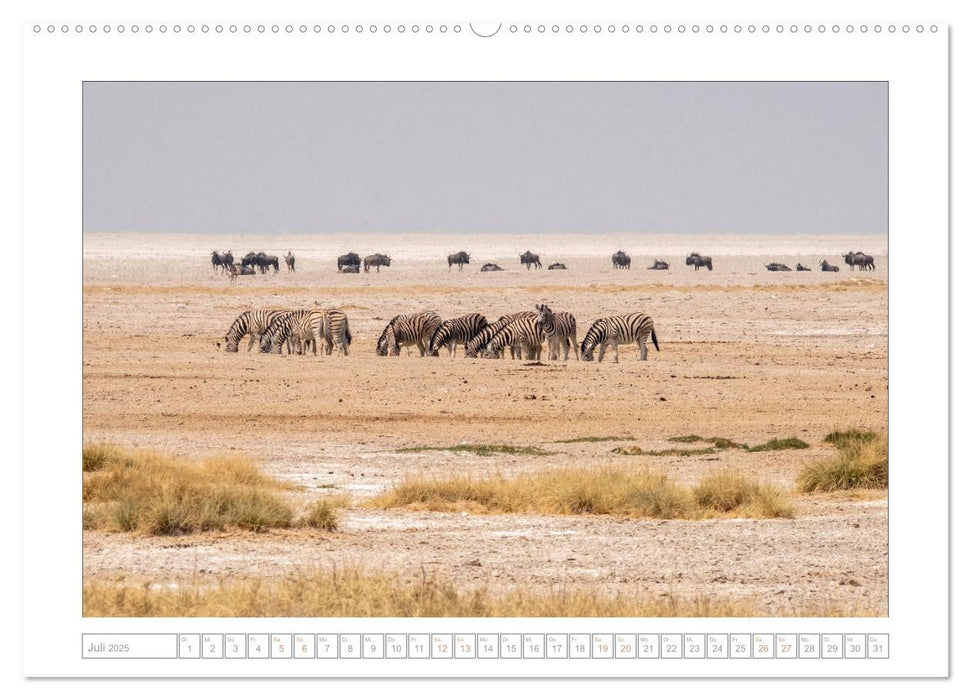 Namibia - Die Erfahrung der Weite (CALVENDO Premium Wandkalender 2025)