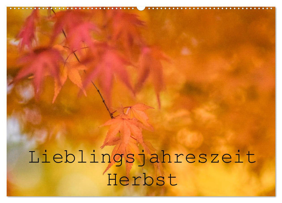 Lieblingsfarbe Herbst (CALVENDO Wandkalender 2025)