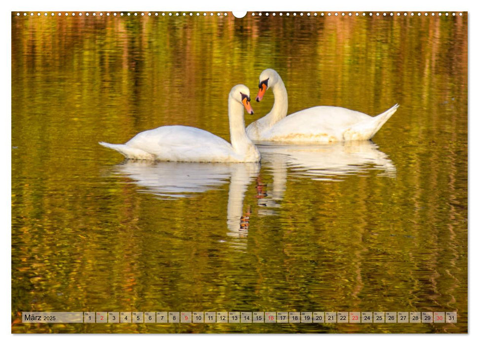 Lieblingsfarbe Herbst (CALVENDO Wandkalender 2025)