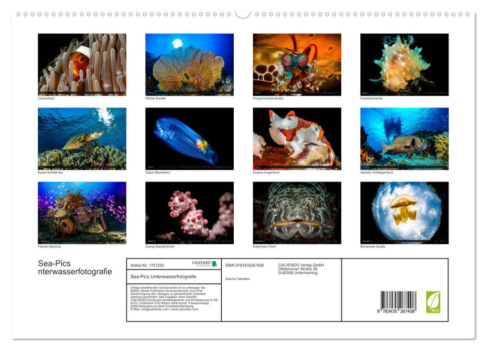 Sea-Pics Unterwasserfotografie (CALVENDO Premium Wandkalender 2025)