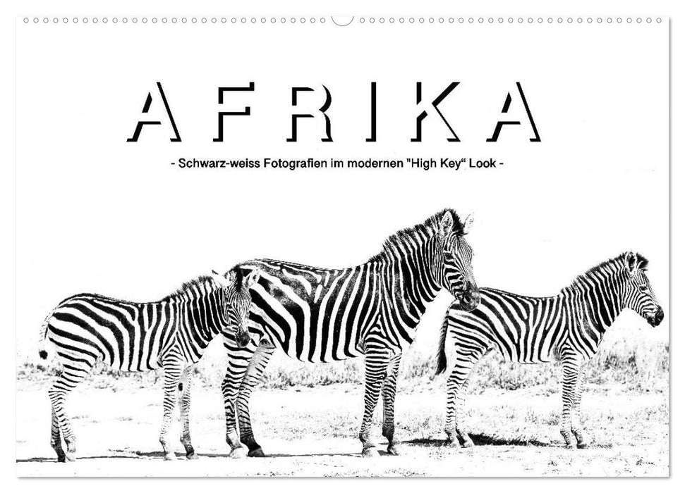 AFRIKA - Schwarz-weiss Fotografien im modernen "High Key" Look (CALVENDO Wandkalender 2025)