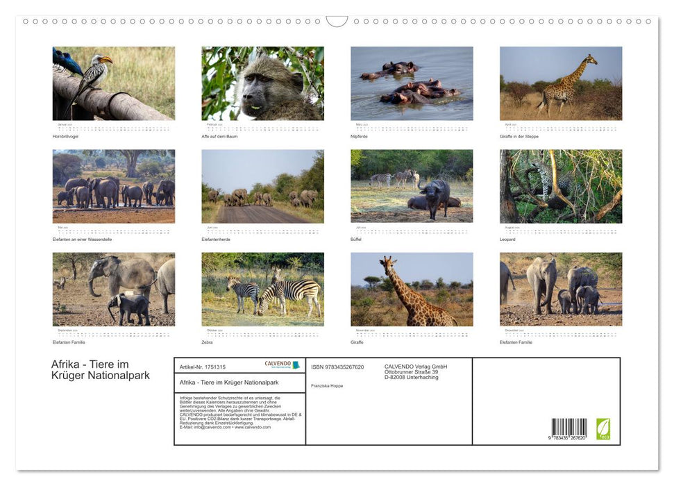 Afrika - Tiere im Krüger Nationalpark (CALVENDO Wandkalender 2025)