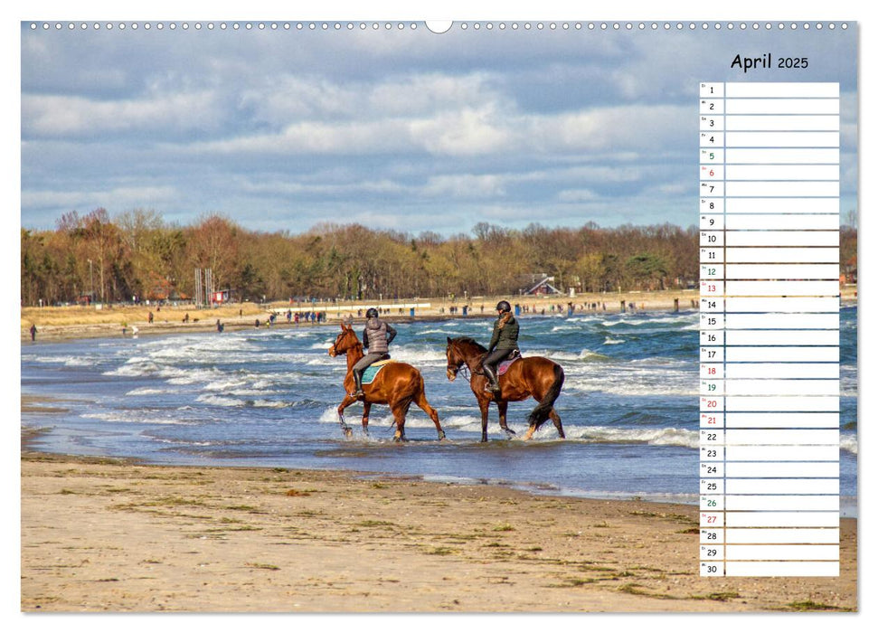 Ostseebad Boltenhagen - Sehnsuchtsort an der Ostsee (CALVENDO Premium Wandkalender 2025)