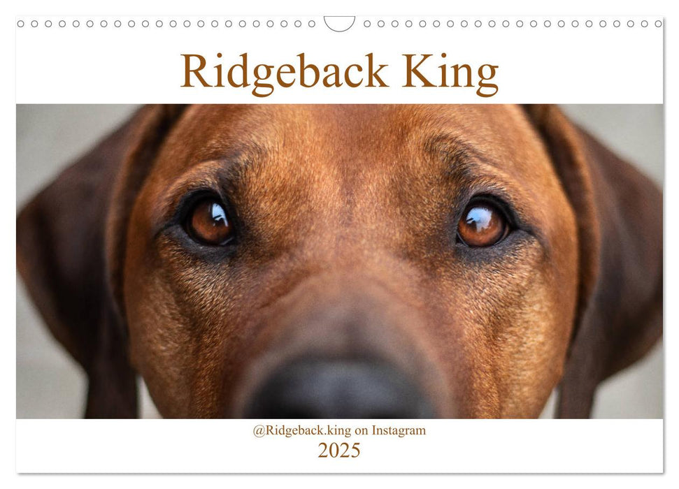 Ridgeback King (CALVENDO Wandkalender 2025)