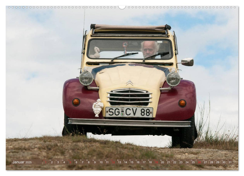 Die Ente ist sicher - Fahrspaß mit 2 CV Dolly (CALVENDO Premium Wandkalender 2025)