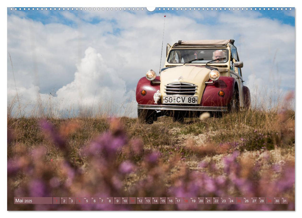 Die Ente ist sicher - Fahrspaß mit 2 CV Dolly (CALVENDO Premium Wandkalender 2025)