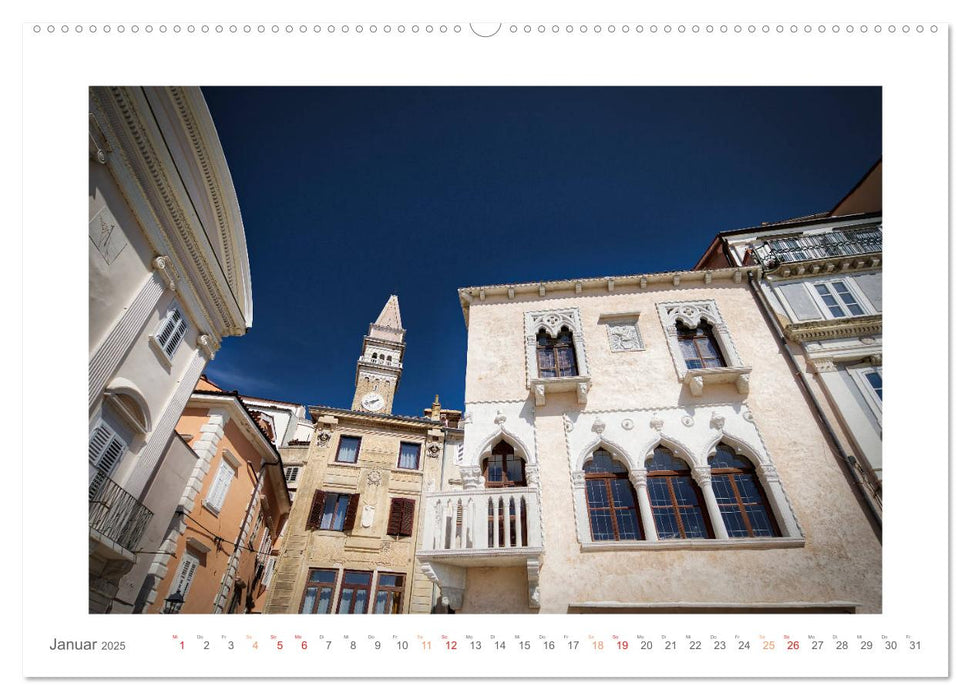 PIRAN! (CALVENDO Premium Wandkalender 2025)