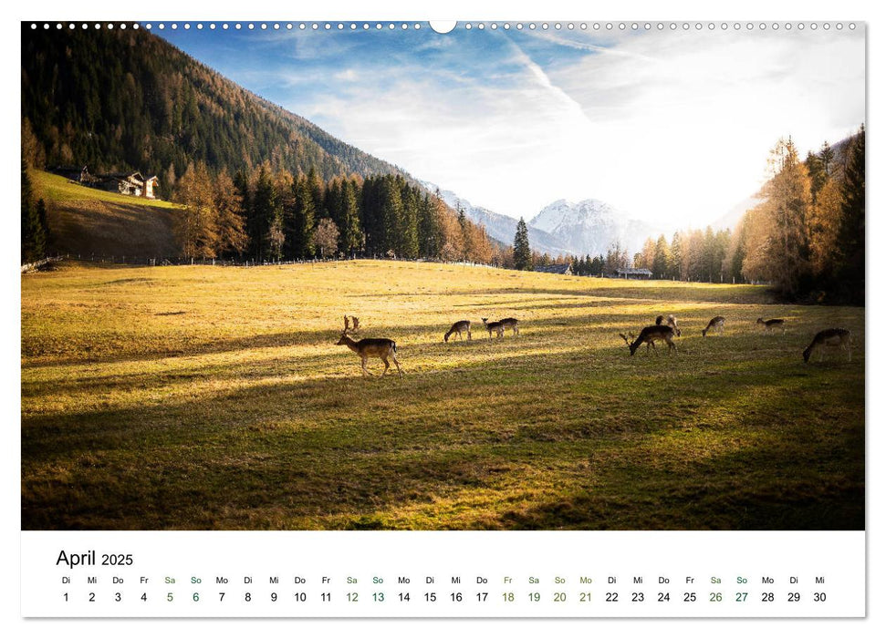 Ultental - Ein Jahr in Bildern (CALVENDO Premium Wandkalender 2025)