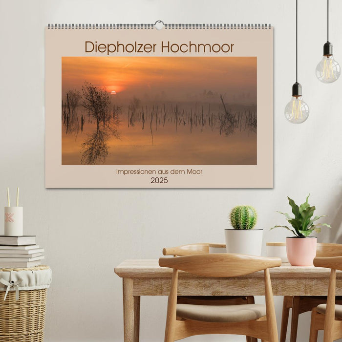 Diepholzer Hochmoor (CALVENDO Wandkalender 2025)