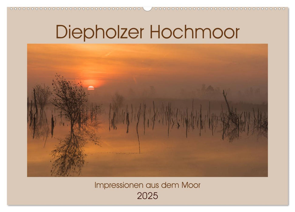 Diepholzer Hochmoor (CALVENDO Wandkalender 2025)