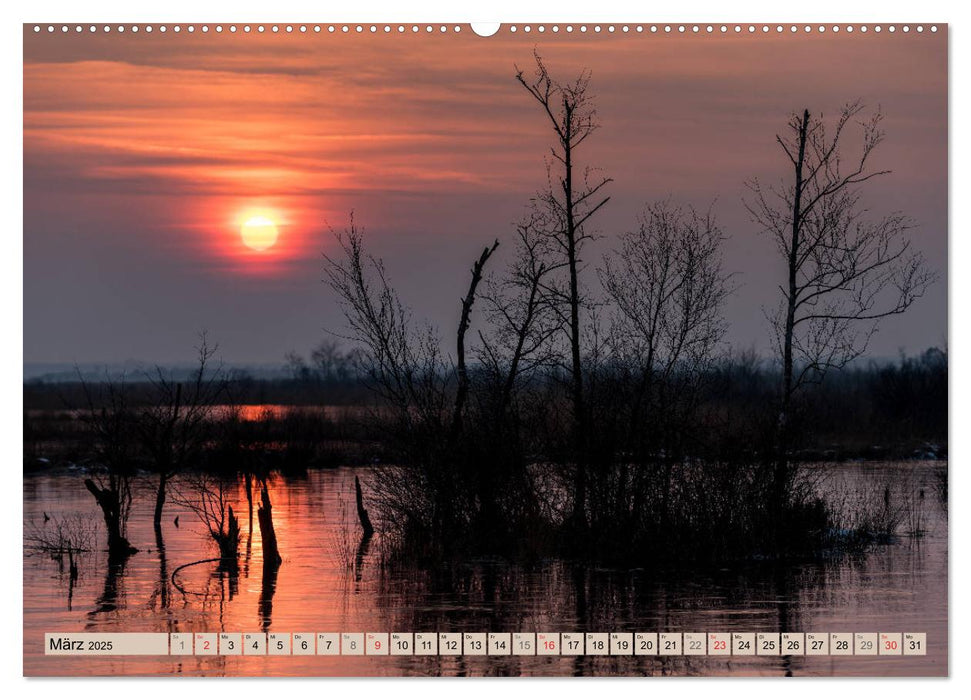 Diepholzer Hochmoor (CALVENDO Wandkalender 2025)