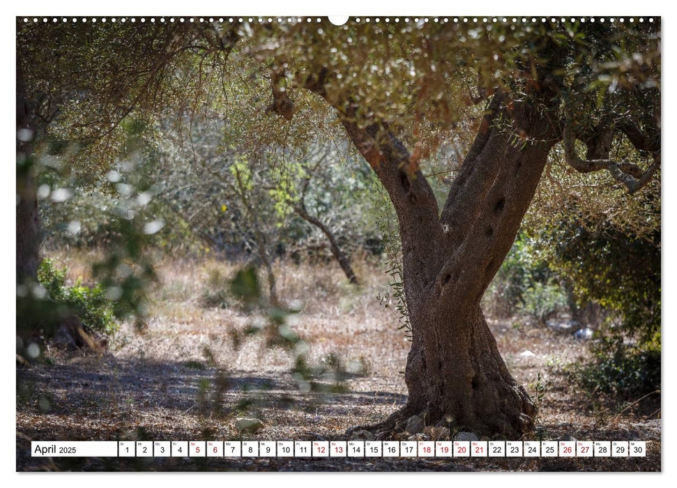 Süditalien - Im Land der Mittagssonne (CALVENDO Premium Wandkalender 2025)