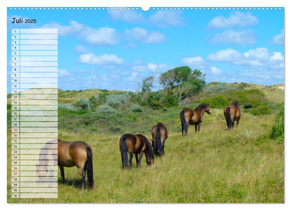 Egmond aan Zee (CALVENDO Premium Wandkalender 2025)