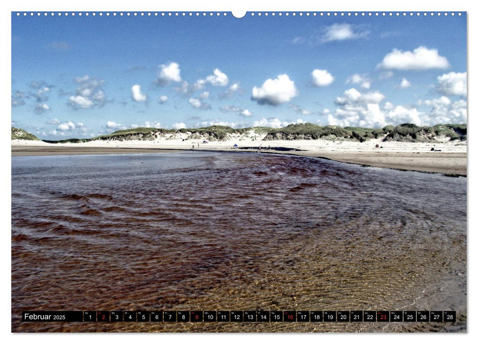 Jütland in Dänemark - Von Henne Strand bis Blavand (CALVENDO Premium Wandkalender 2025)