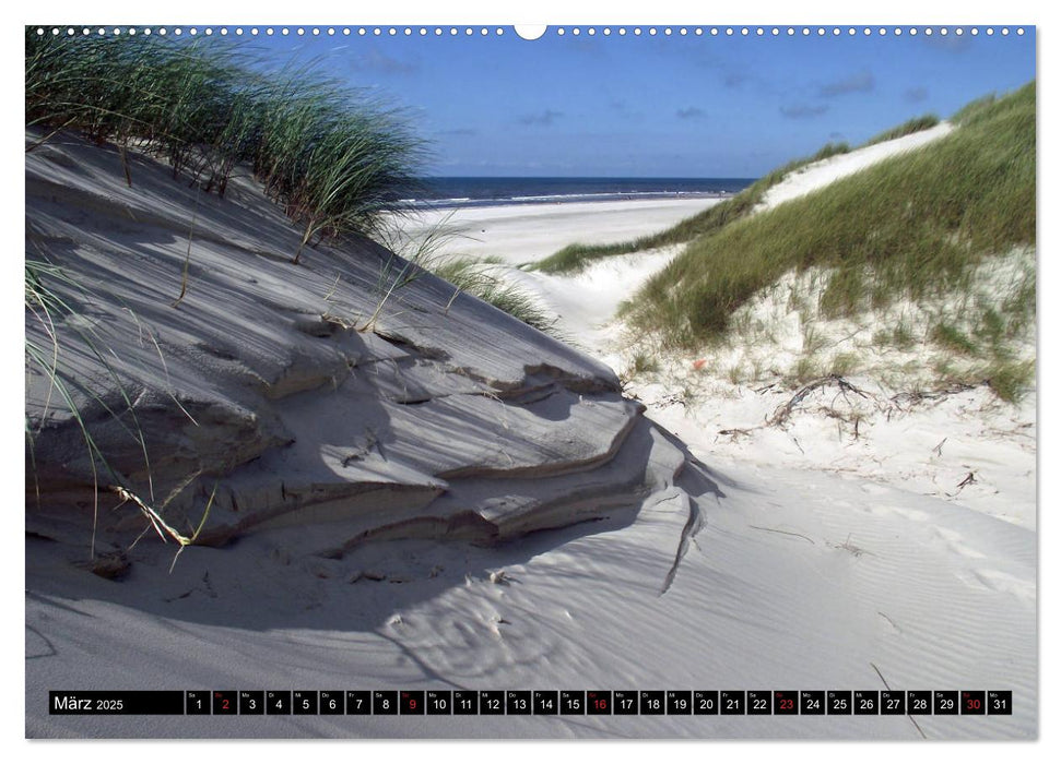 Jütland in Dänemark - Von Henne Strand bis Blavand (CALVENDO Premium Wandkalender 2025)