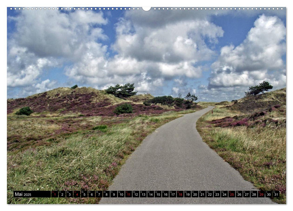 Jütland in Dänemark - Von Henne Strand bis Blavand (CALVENDO Premium Wandkalender 2025)