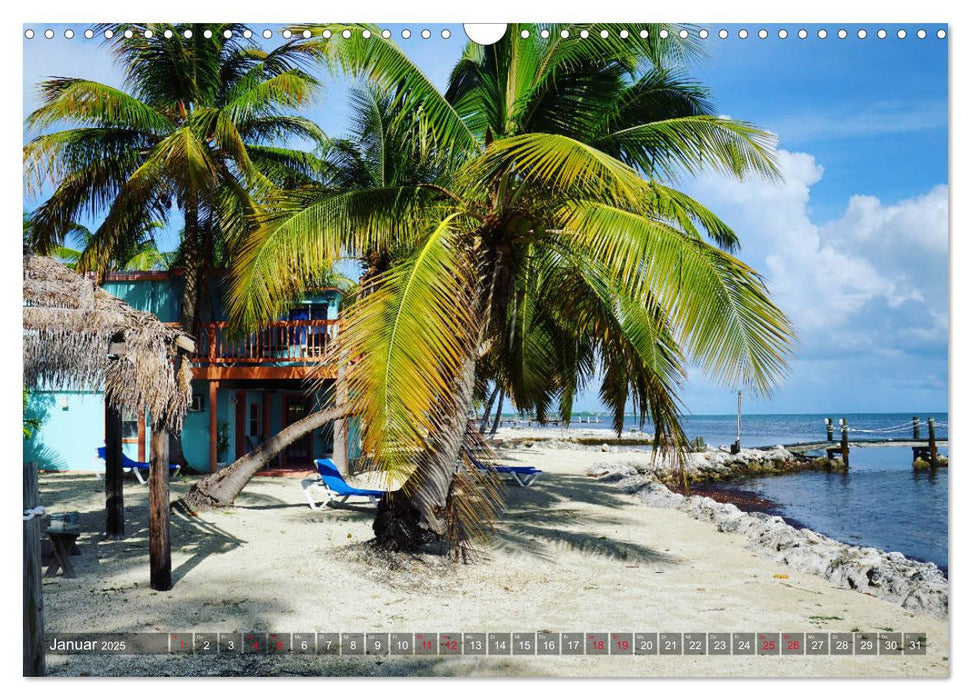 Florida - Sunshine State (CALVENDO Wandkalender 2025)