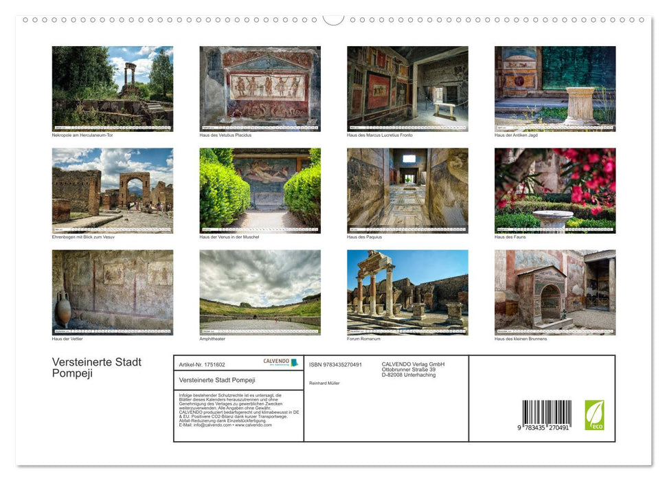 Versteinerte Stadt Pompeji (CALVENDO Premium Wandkalender 2025)