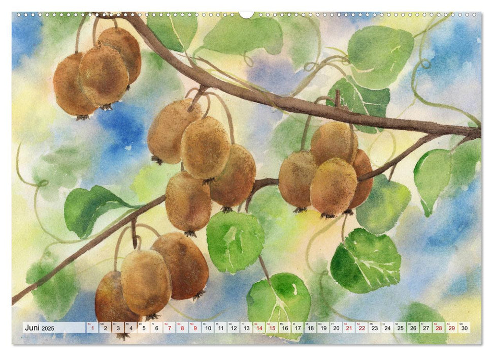 Neuseeland in Aquarell (CALVENDO Premium Wandkalender 2025)