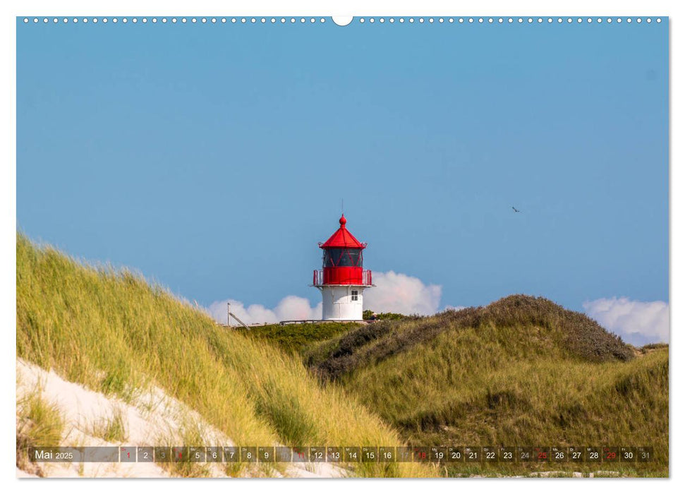 Amrum Insel am Wattenmeer (CALVENDO Wandkalender 2025)