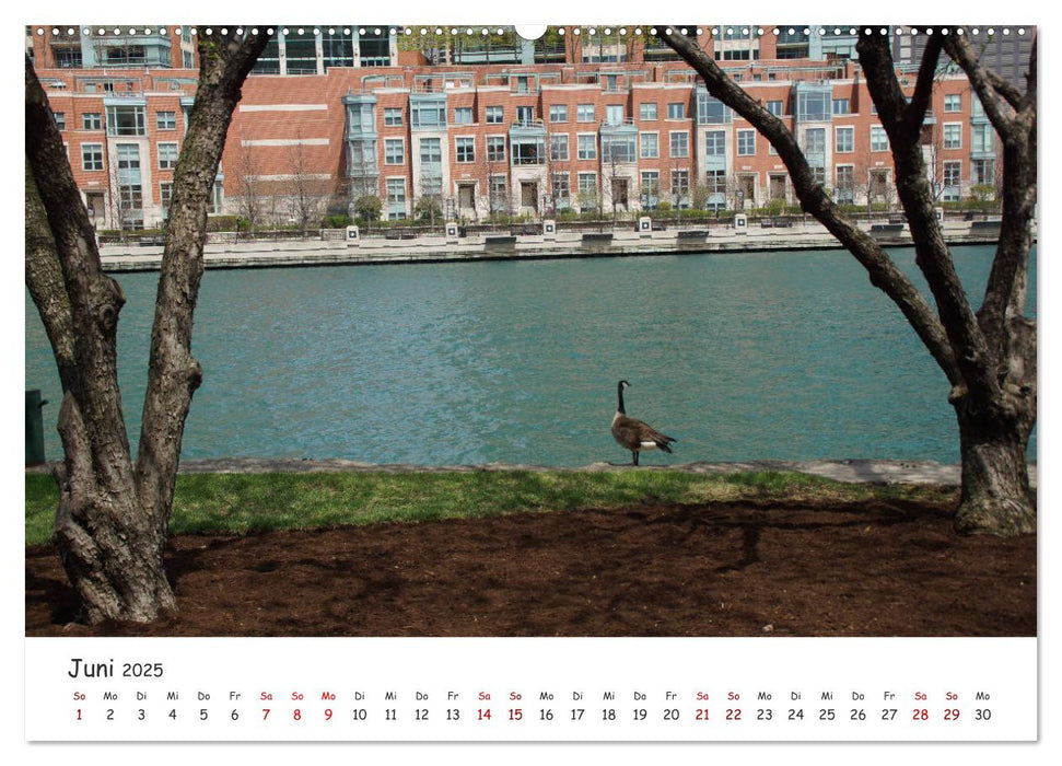 beeindruckendes Chicago (CALVENDO Premium Wandkalender 2025)